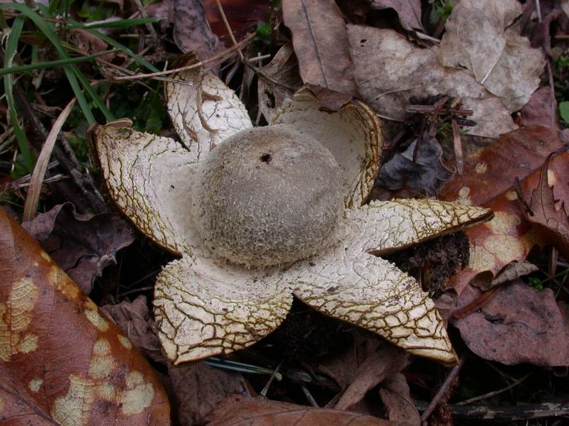 Prima escursione in montagna
